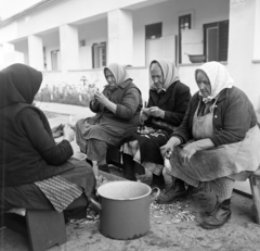 1969, FŐFOTÓ, old person, peeling potato, Fortepan #208103