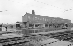 Hungary, Budapest XIV., Csömöri út 9-11., Bosnyák téri Vásárcsarnok., 1969, FŐFOTÓ, Budapest, Fortepan #208375