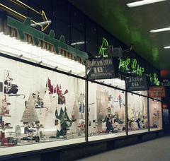 Hungary, Budapest VII., Rákóczi út 36., a Lottó Áruház kirakata., 1969, FŐFOTÓ, Show window, neon sign, Budapest, Fortepan #208526