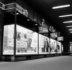 Magyarország, Budapest VII., Rákóczi út 36., a Lottó Áruház ünnepi versenykirakata a Tanácsköztársaság kikiáltásának 50. évfordulójára., 1969, FŐFOTÓ, kirakat, kötöttáru, neon felirat, Budapest, Fortepan #208534