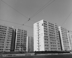 Magyarország, Budapest IV., Pozsonyi utcai lakótelep., 1970, FŐFOTÓ, Budapest, Fortepan #208925