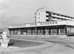 Magyarország, Tapolca, Hősök tere, Bauxit étterem és eszpresszó. Háttérben az Ady Endre utcában álló lakóház., 1970, FŐFOTÓ, Fortepan #208977