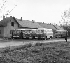 1970, FŐFOTÓ, autóbusz, Ikarus-márka, rendszám, ÁMG-márka, Volán-szervezet, Ikarus 31/311, Ikarus 620/630, Fortepan #208981