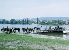 Magyarország,Dunakanyar, Visegrád, Duna-part, rév Visegrád-Szentgyörgypusztánál, a túlparton Kisoroszi., 1967, FŐFOTÓ, színes, komp, ló, lovaskocsi, Fortepan #209088