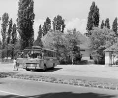 Magyarország,Balaton, Szántód, Révcsárda, a bejárat mellett jobbra Csokonai-emléktábla.
, 1967, FŐFOTÓ, autóbusz, Fortepan #209109