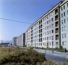 Magyarország, Budapest XI., Hamzsabégi út a Szerémi sortól a Fehérvári út felé nézve., 1962, FŐFOTÓ, Budapest, színes, Fortepan #209181