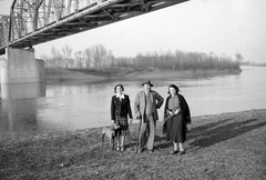 Magyarország, Balsa, a Nyírvidéki kisvasút hídja Tisza felett., 1940, Hegedűs Judit, vasút, híd, kutya, Tisza-híd, folyópart, vizsla, kisvasút, hárman, Fortepan #20919