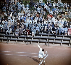 Magyarország, Margitsziget, Budapest, Dózsa teniszstadion. Magyaroszág - Luxemburg 5:0, Davis Kupa-teniszviadal. Gulyás István örökös magyar bajnok teniszező., 1962, FŐFOTÓ, tenisz, Fortepan #209211