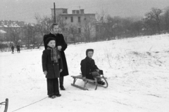 Magyarország, Budapest XII., a Rőzse köz melletti üres telek, háttérben balra a János kórház épületei, szemben a Diósárok utca 16/b számú ház látható., 1951, Jezsuita Levéltár, Kiss Ulrich SJ, szánkó, gyerekek, havas táj, Budapest, Fortepan #209446