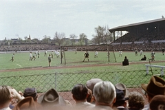 Magyarország, Budapest IX., Üllői út, FTC stadion. Szemben bal szélen Dr. Springer Ferenc az FTC alapító elnökének szobra, ifj. Mátrai Lajos alkotása (1922)., 1958, Belházy Miklós, Budapest, színes, szurkoló, futballpálya, Fortepan #209872