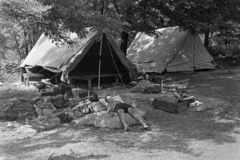 1964, Belházy Miklós, relaxation, Young Pioneer camp, tent, Fortepan #209957