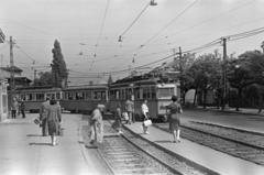 Hungary, Budapest XI., Fehérvári (Szabadság) út, a felvétel a Budafok kocsiszín előtti BHÉV megállónál készült., 1961, Belházy Miklós, tram, Budapest, Fortepan #209970