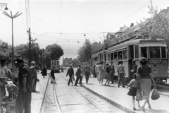 Hungary, Budapest XXII., villamosmegálló a Városház (Dózsa György) téren a Mária Terézia (Rózsa Richárd) utca felé nézve., 1964, Belházy Miklós, Budapest, Best of, Fortepan #209971