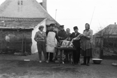 1961, Belházy Miklós, pig slaughter, Fortepan #210017