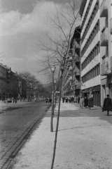 Magyarország, Budapest XI., a felvétel a Bocskai út 3-as számú ház előtt készült., 1963, Belházy Miklós, Budapest, Fortepan #210046