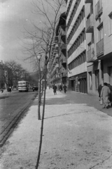 Magyarország, Budapest XI., a felvétel a Bocskai út 3-as számú ház előtt készült., 1963, Belházy Miklós, Budapest, Fortepan #210047