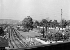 Magyarország, Budapest XI.,Budapest XXII., Budafok - Albertfalva vasútállomás a Budapest-Törökbálint között közlekedő HÉV vonalán lévő felüljáróról nézve., 1967, Belházy Miklós, vasútállomás, sínpálya, Budapest, váltóőrház, Fortepan #210102