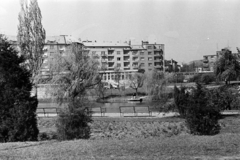 Magyarország, Budapest XI., Feneketlen-tó, háttérben az Edömér utca házsora., 1967, Belházy Miklós, Budapest, Fortepan #210105