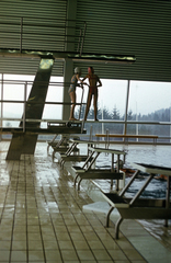 Németország, Essen, Schwimmzentrum Kettwig - Hallenbad / Kettwig úszóközpontja - fedett uszoda., 1975, Fürdőigazgatóság, színes, uszoda, trambulin, Fortepan #210342