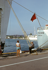 Oroszország, Szocsi, kikötő., 1972, Fürdőigazgatóság, Szovjetunió, színes, Fortepan #210390