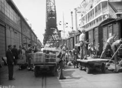 Netherlands, Rotterdam, Schiehaven, a felvétel Holland Kelet-Indiából megérkező MS Indrapoera óceánjáró hajó kikötése alkalmával készült., 1947, Fortepan/Album052, port, travelling, Fortepan #210543