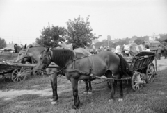 Magyarország, Zalaegerszeg, a Vásár tér marhavásár alkalmával., 1977, Jakab Antal, szekér, Fortepan #210726