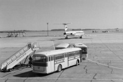 1978, Jakab Antal, bus, airplane, Hungarian Airlines, Tupolev-brand, aircraft steps, Ikarus-brand, Fortepan #210739