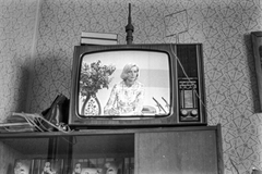 1981, Maróti Zoltán, televízió, Best of, képernyőfotó, antenna, riporter, Fortepan #210983