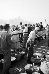 Hungary, Budapest II., budai alsó rakpart a Bem József téri hajóállomásnál, háttérben a Parlament., 1961, ETH Zürich, Budapest, Fortepan #211163