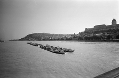 Magyarország, Budapest I., uszályok vontatása a Dunán a Széchenyi Lánchídról nézve. Szemben a Gellért-hegy, jobbra a Budavári Palota (egykor Királyi Palota)., 1966, ETH Zürich, Budapest, Fortepan #211201