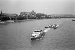 Magyarország, Budapest I., látkép az Erzsébet hídról a budai Vár és a Széchenyi Lánchíd felé., 1966, ETH Zürich, hajó, uszály, vontatóhajó, Budapest, Jégtörő IV. hajó, Fortepan #211238