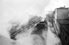 Hungary, Szombathely, vasútállomás., 1979, ETH Zürich, steam locomotive, MÁV Class 424, Fortepan #211442