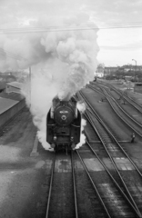 Hungary, Szombathely, vasútállomás., 1979, ETH Zürich, steam locomotive, MÁV Class 424, Fortepan #211443