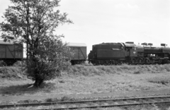 Hungary, Celldömölk, rendezőpályaudvar., 1979, ETH Zürich, steam locomotive, MÁV Class 424, Fortepan #211458