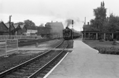 Hungary, Sopron, GYSEV vasútállomás., 1979, ETH Zürich, steam locomotive, MÁV Class 424, Fortepan #211472