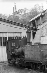 Magyarország, Borsodnádasd, az Ózd - Borsodnádasd iparvasút 8-as pályaszámú gőzmozdonya az Új utca mellett, a Lemezgyár közelében., 1983, ETH Zürich, gőzmozdony, Fortepan #211521