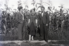 1937, Szabó Krisztina, dotted dress, suit, corn, Fortepan #211558