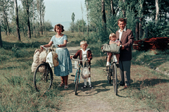 1955, Szalai Veronika, bicycle, colorful, family, excursion, woods, Fortepan #211589