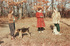 1955, Szalai Veronika, colorful, dog, fur coat, Fortepan #211596