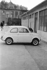 1963, Szathmáry Géza dr., Steyr-Puch 500, Fortepan #211738