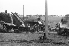 1958, Szolnoki Béla, szekér, mezőgazdaság, Fortepan #211813