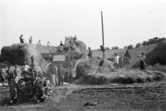 1958, Szolnoki Béla, mezőgazdaság, Fortepan #211814