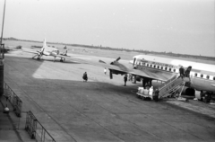 1962, Szolnoki Béla, repülőgép, KLM légitársaság, Douglas-márka, reptéri lépcső, Douglas DC-6, Fortepan #211834