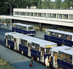 Magyarország, Budapest XIV., Mexikói út, a Millenniumi Földalatti Vasút végállomása., 1981, Záray Péter, színes, autóbusz, Ikarus-márka, BKV-szervezet, Ikarus 260, Ikarus 280, Budapest, Fortepan #212003