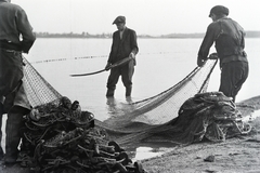 1938, Adelhardt Márta, halászháló, halászat, Fortepan #212388