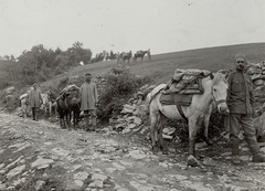 Slovenia, a Császári és Királyi Hadsereg lőszerutánpótlás-szállító karavánja., 1915, Österreichische Nationalbibliothek, First World War, carrying loads, ammunition, Fortepan #212588