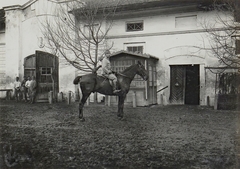 Ukraine, (ekkor Zastawna), a lovon Siegmund von Benigni, a Császári és Királyi Hadsereg táborszernagya., 1915, Österreichische Nationalbibliothek, rider, Fortepan #212709