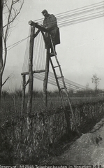 Olaszország, Veneto tartomány, a Császári és Királyi Hadsereg telefonvezeték építő katonája., 1918, Österreichische Nationalbibliothek, Fortepan #212840