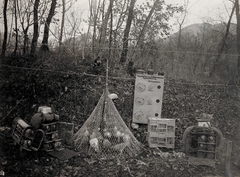 Olaszország, Trento, a Császári és Királyi Hadsereg postagalambjai és védőfelszerelésük gáztámadás esetére., 1917, Österreichische Nationalbibliothek, postagalamb, védőháló, Fortepan #212891