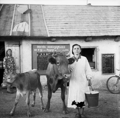 Moldova, Roșietici, 1960, Zaharia Cusnir, szarvasmarha, fazsindely, vödör, cirill írás, Fortepan #213876